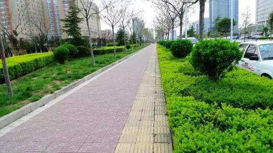 “三分栽七分養(yǎng)” 冬季綠化養(yǎng)護(hù)你知道嗎？